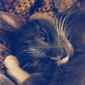 Meet your Posher, Christina